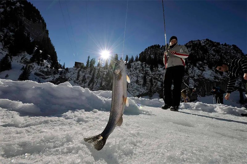 Germany - ice fishing gambling game Germany - ice fishing gambling game